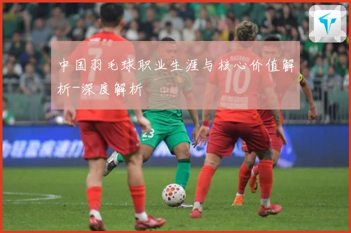 中国羽毛球职业生涯与核心价值解析-深度解析