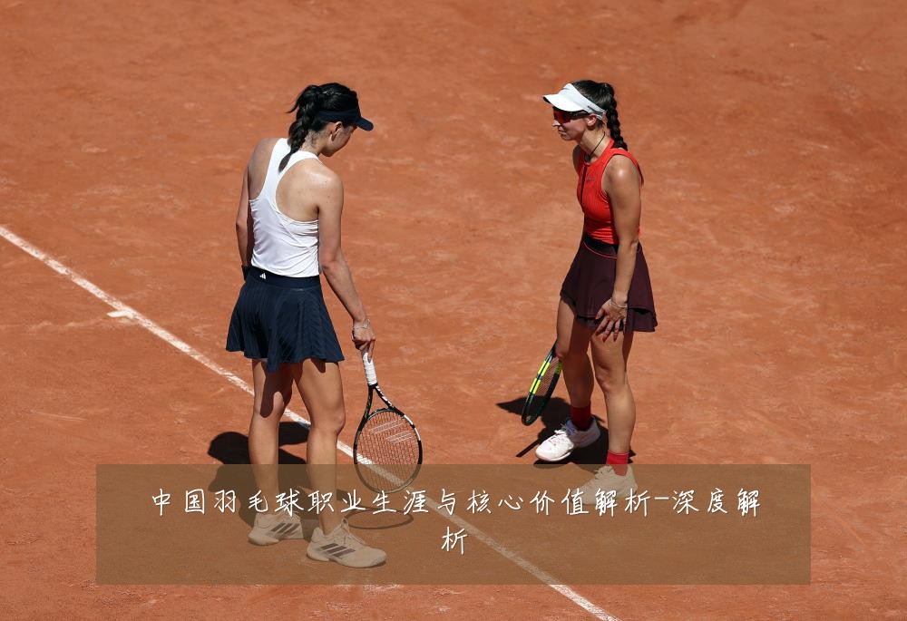 中国羽毛球职业生涯与核心价值解析-深度解析
