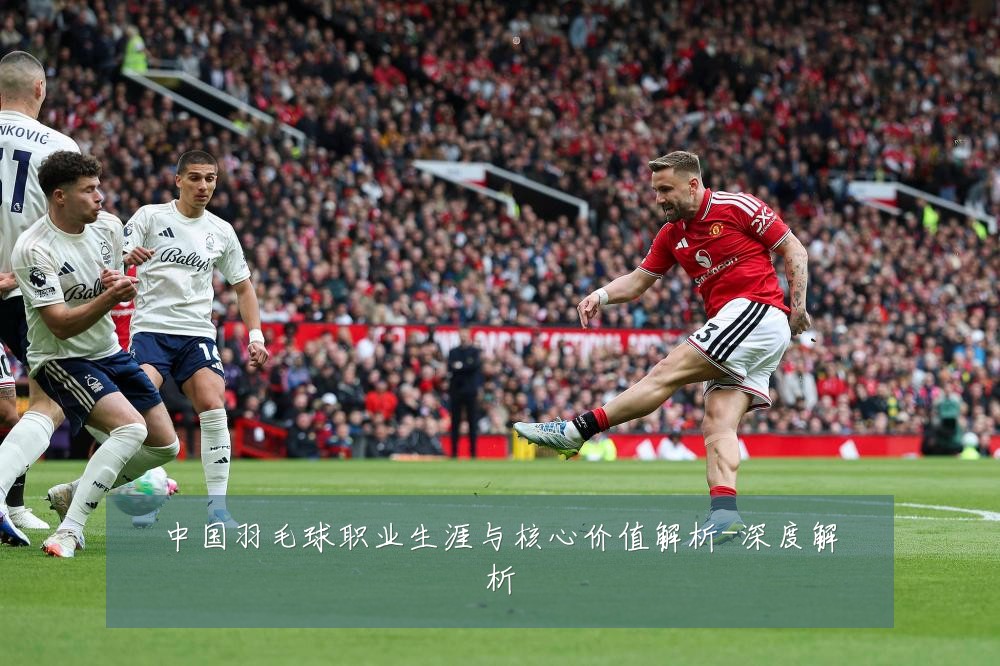 中国羽毛球职业生涯与核心价值解析-深度解析